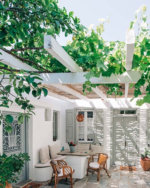 YiaYias home - δροσερή αυλή με φυτά και γλάστρες