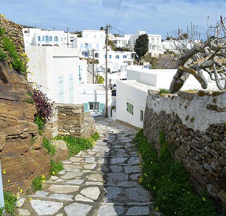 Το πλακόστρωτο που οδηγεί στο σπίτι